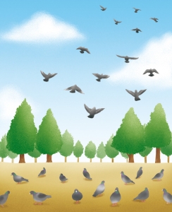 啓林館算数教科書 3年生 挿絵 啓林館算数教科書 3年生 挿絵